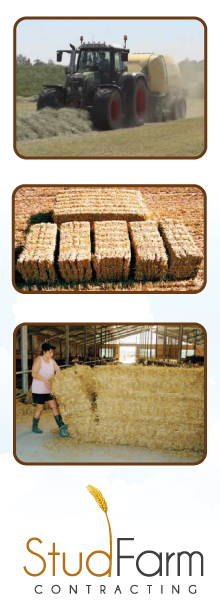 Hay & Straw Graphic