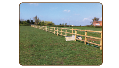 Fencing StudFarm Services